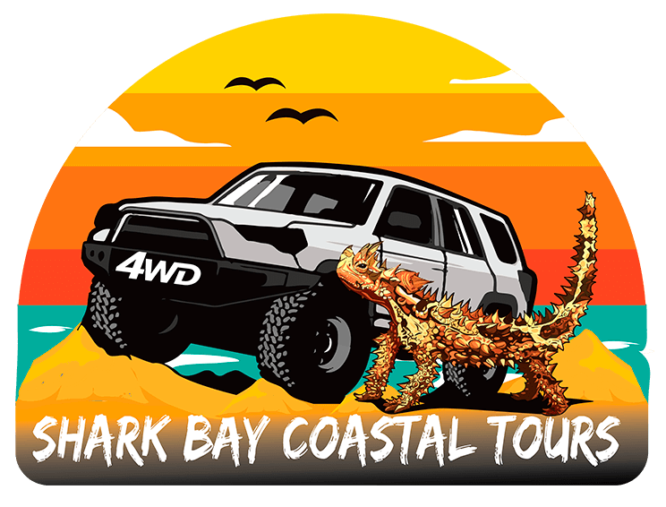 Logo for Shark Bay Coastal Tours featuring a 4WD vehicle, thorny devil lizard, and sunset landscape with white brush-text lettering.